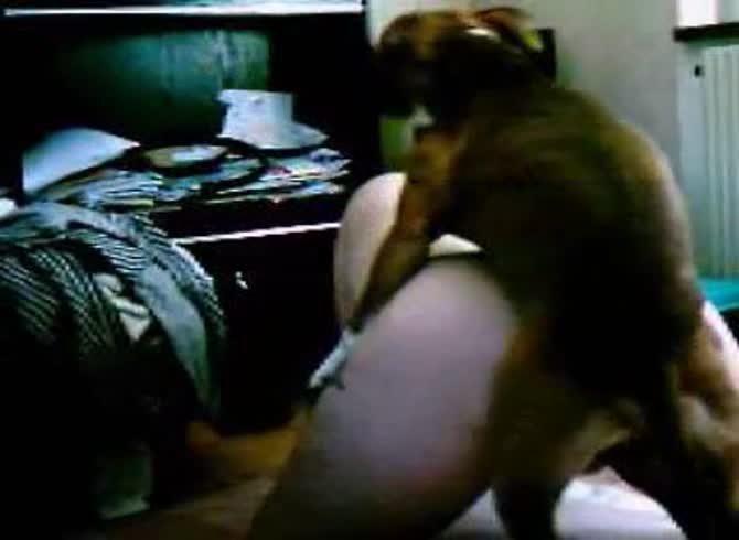 Video :Big ass babe enjoying big dog dick in dog anal sex